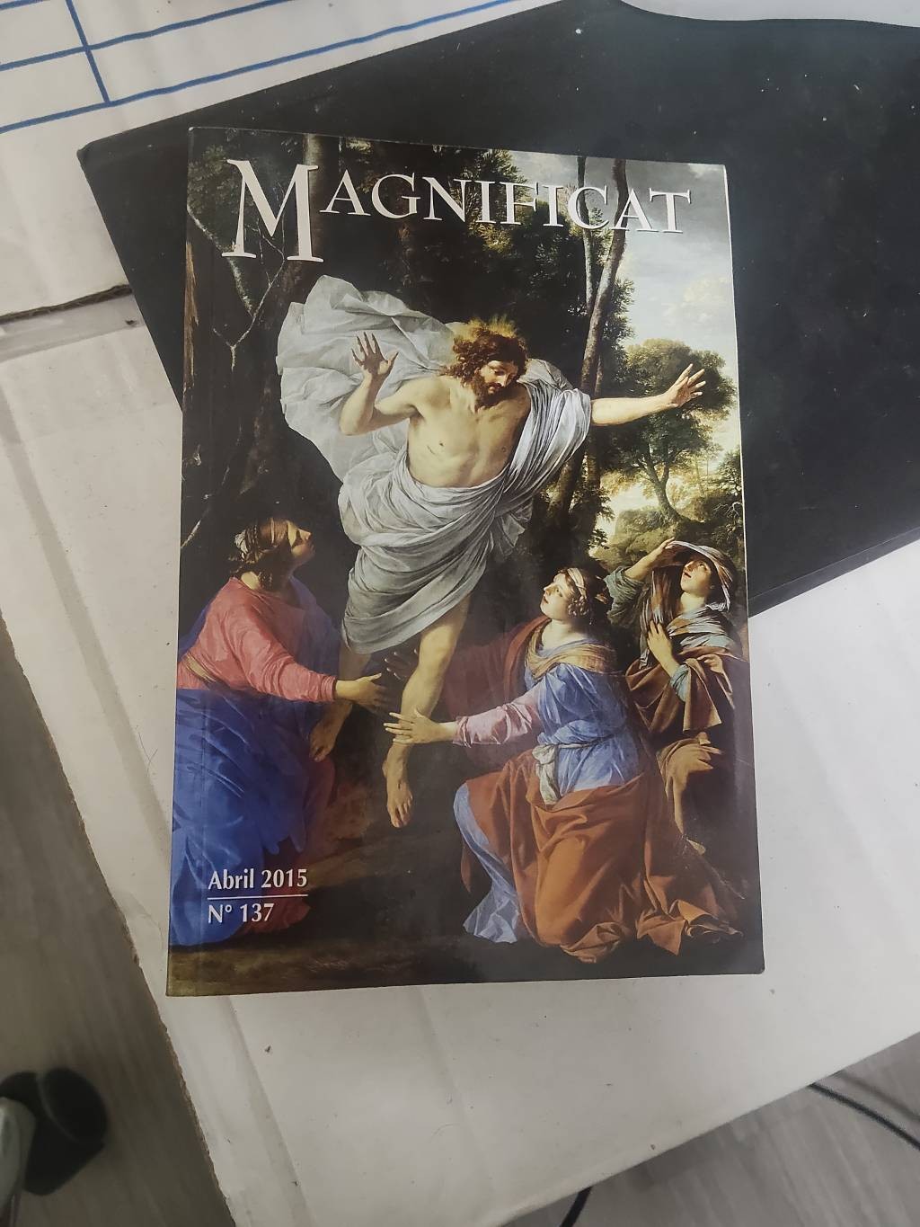 Descubre el secreto detrás de ‘Magníficat’: una odisea por la libertad y la supervivencia en los campos de concentración durante la Guerra Civil Española, revelada por las palabras de Pablo Cervera Barranco y David Amado Fernández en esta obra literaria que cautiva y conmueve.
