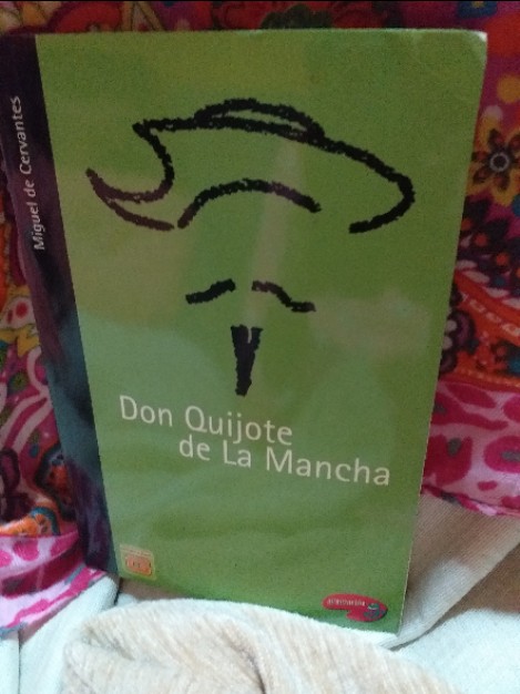 Libro de segunda mano: Don quijote de la Mancha