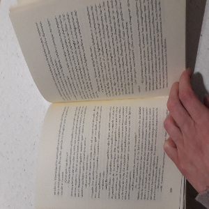 Imagen 3 del libro El mundo de sofia