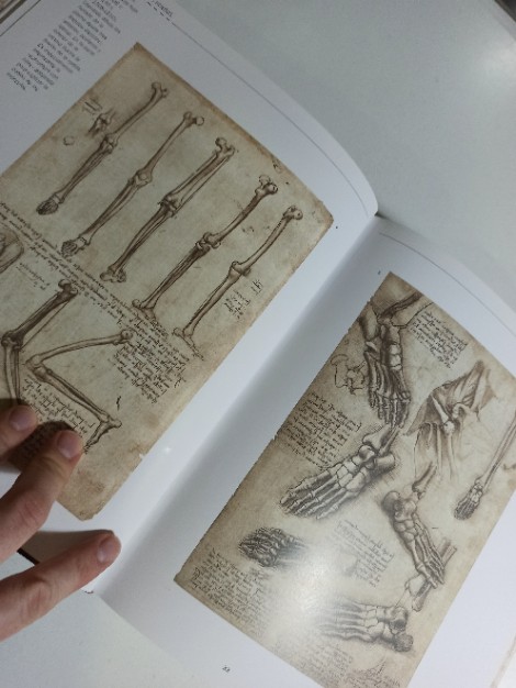 Imagen 2 del libro Atlas ilustrado Leonardo : anatomía, el vuelo y las máquinas