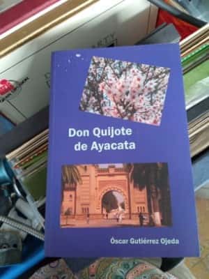 Libro de segunda mano: Don Quijote de ayacata