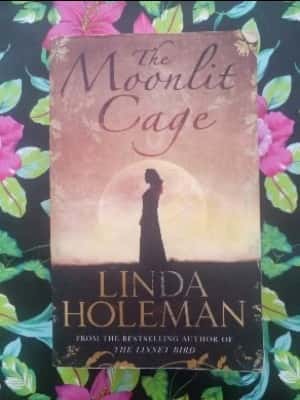 Libro de segunda mano: Moonlit Cage