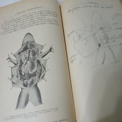 Imagen 3 del libro Manual practicas Biologia - Barcelona 1925