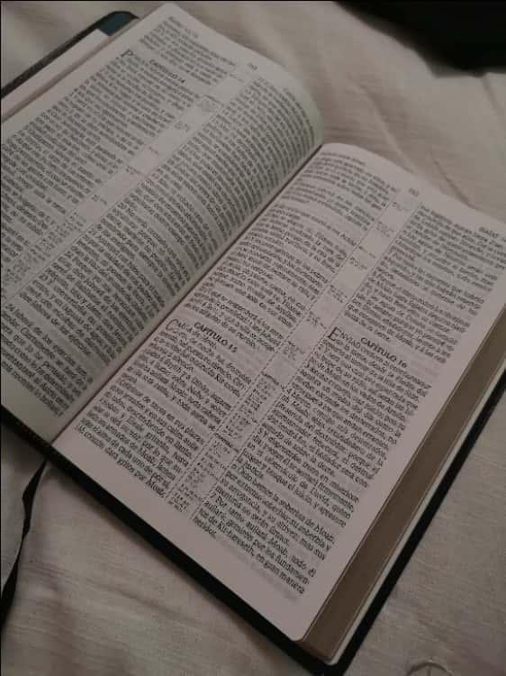 Imagen 3 del libro RV1909 Santa Biblia 