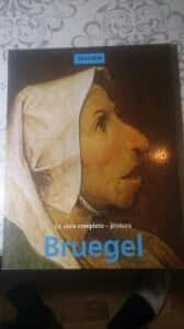 Libro de segunda mano: Pieter Bruegel