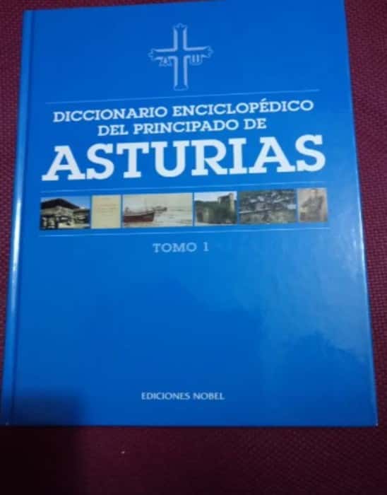 Libro de segunda mano: Diccionario enciclopédico del Principado de Asturias - Tomo 1