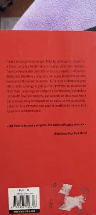 Imagen 2 del libro Chico Malo Busca Chica / Bad Boy (Best Seller)