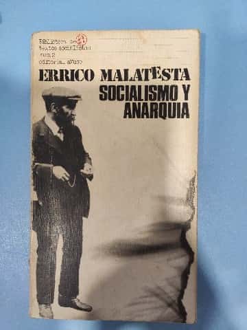 Libro de segunda mano: Socialismo y Anarquia