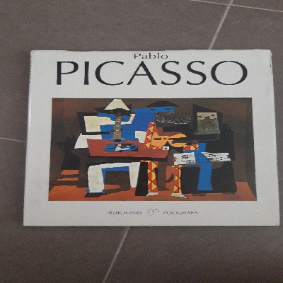 Libro de segunda mano: Pablo Picasso 