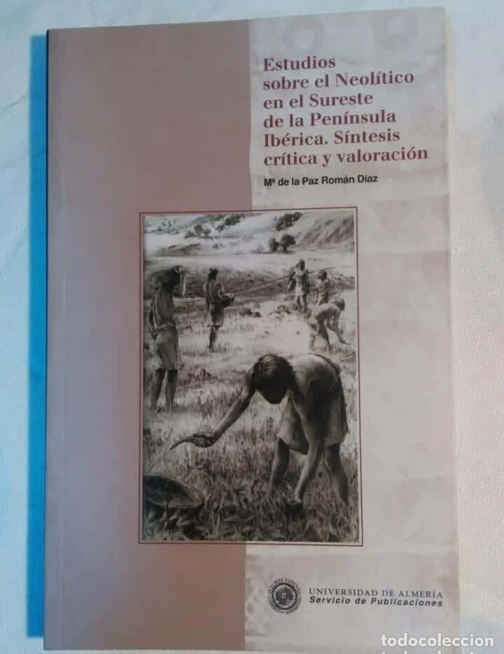 Desentrañando el Pasado: Reseña de «Estudios sobre el Neolítico en el Sureste de la Península Ibérica. Síntesis Crítica y Valoración» por María de la Paz Román Díaz