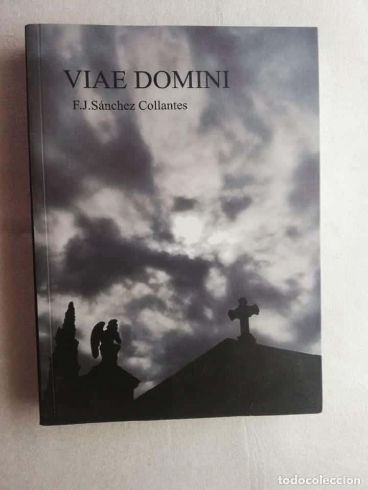 VIAE DOMINI-F.J.SÁNCHEZ COLLANTES