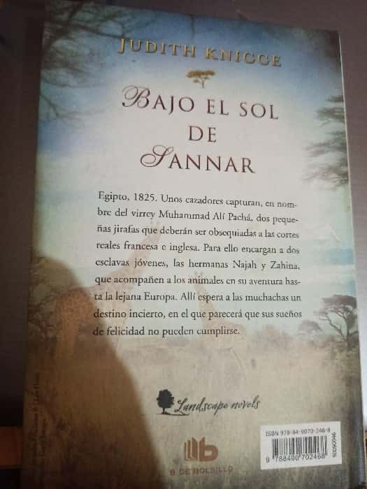 Bajo el sol de Sannar: Un Viaje Épico entre Culturas y Desafíos