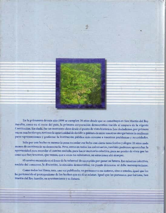 san martin del rey aurelio 20 años de democracia 