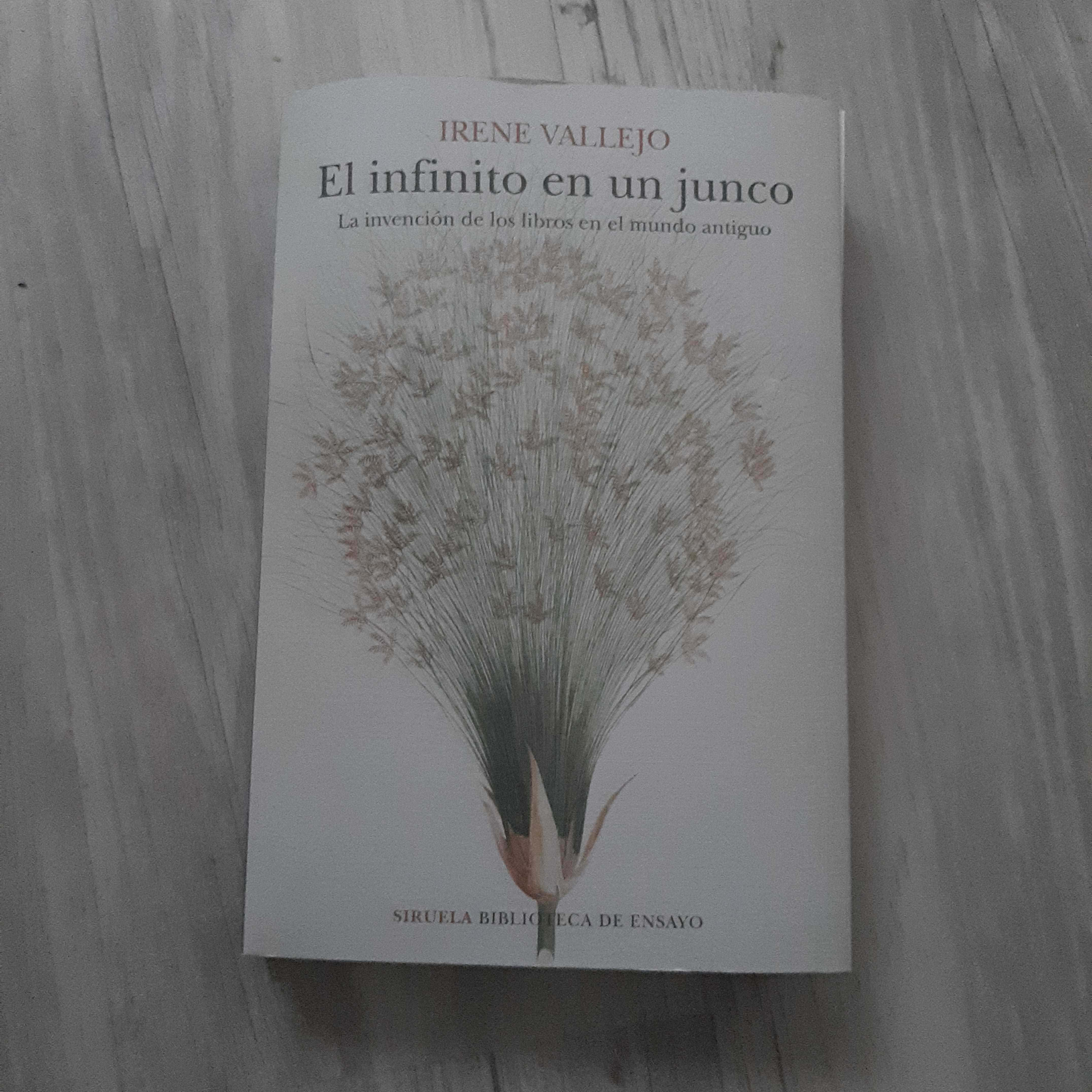 El Infinito en un Junco: Un Viaje Literario a través de los Libros