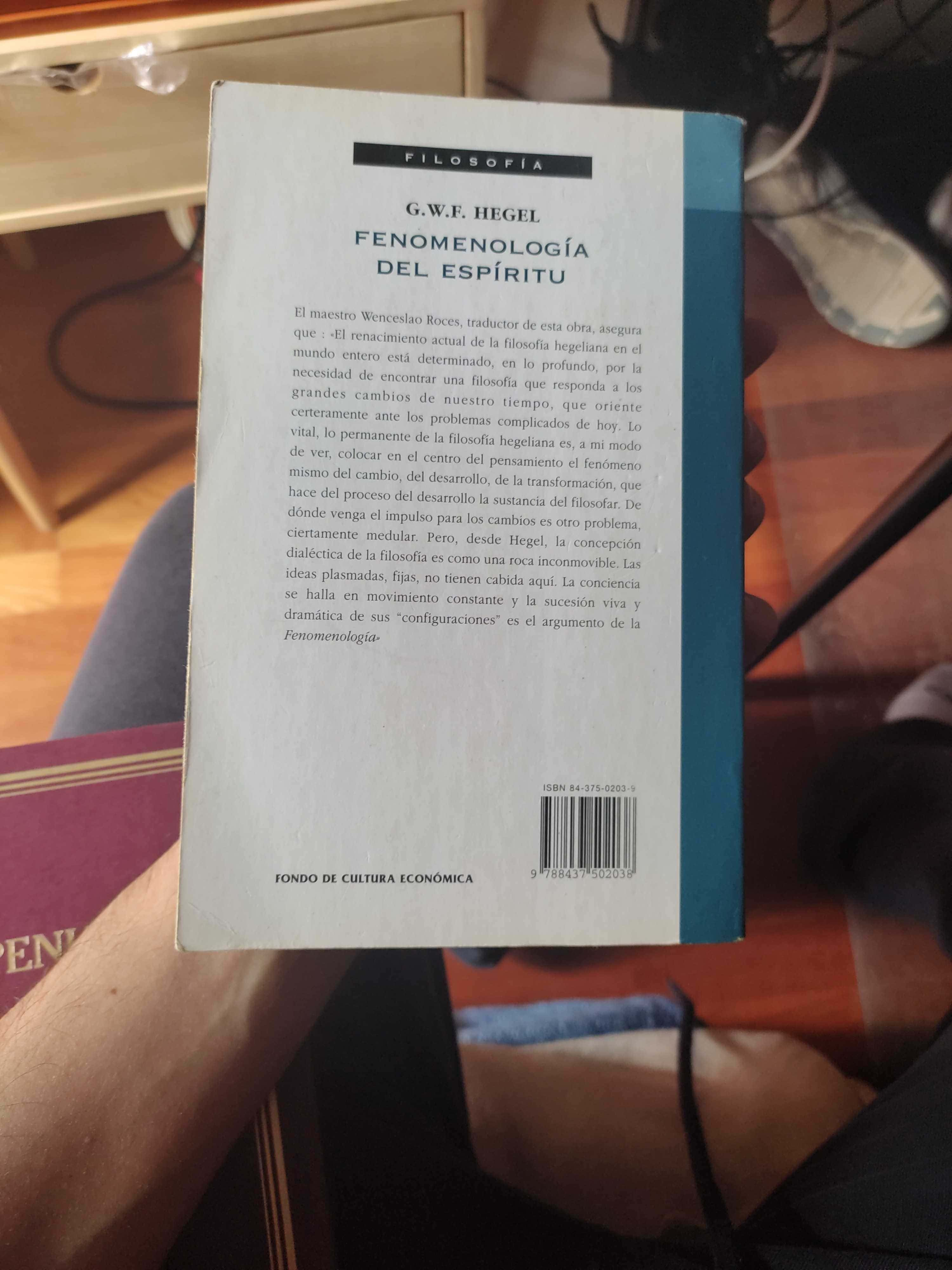 Explorando la Fenomenología del Espíritu de Hegel