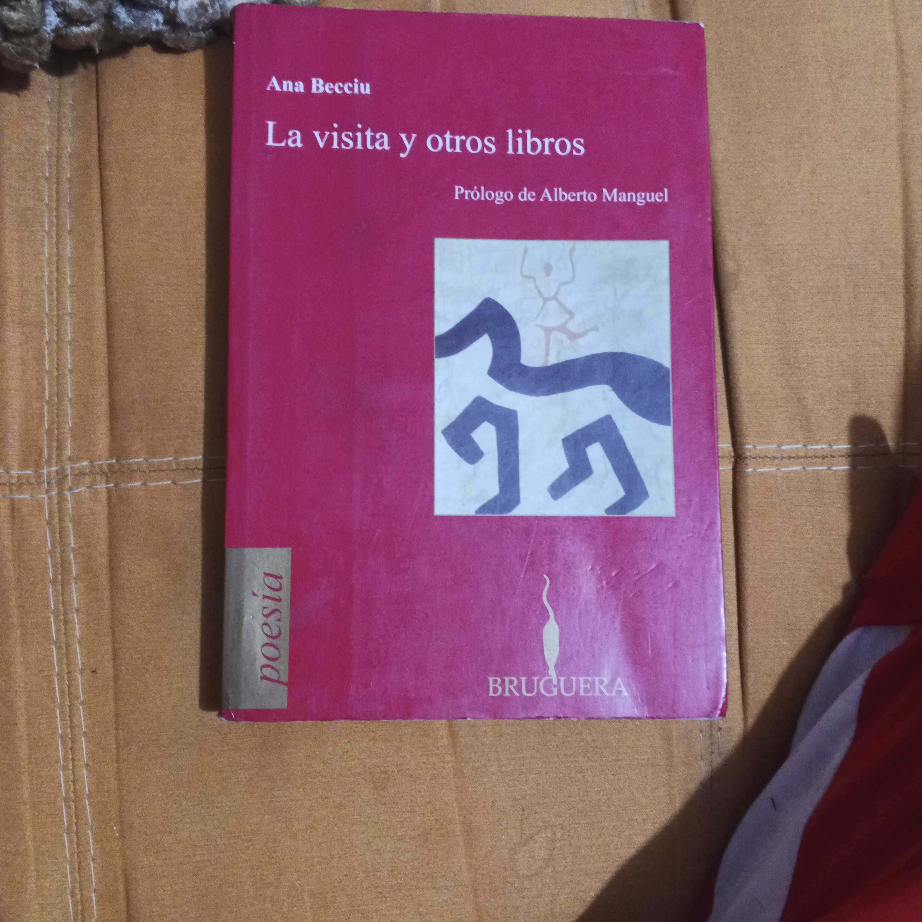 ¡Descubre una Colección Fascinante con «La Visita y Otros Libros»!