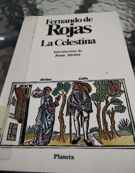 «La Celestina es una bomba: Una crítica intensa al machismo femenino en la literatura española»