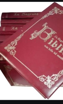 Descubre la belleza y el poder de las palabras: ‘Biblia, la más bella del mundo’