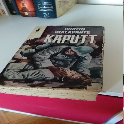 Libro de segunda mano: Kaputt