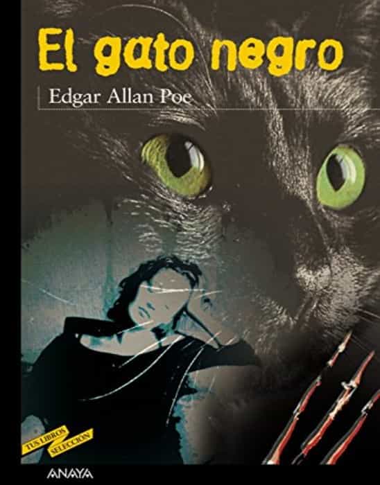 Libro de segunda mano: El Gato Negro