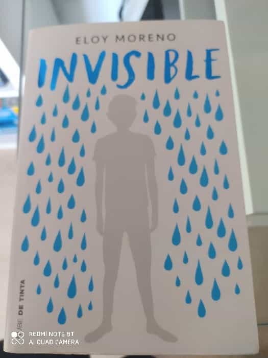 Libro de segunda mano: Invisible