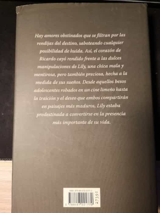 Travesuras de la Niña Mala: Amor, Pasión y Destino Entrelazados