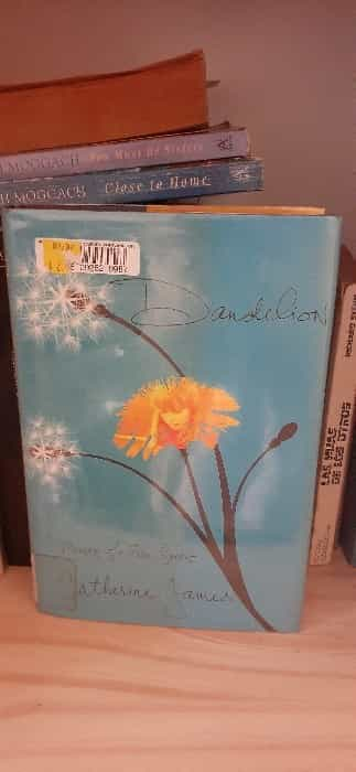 Dandelion