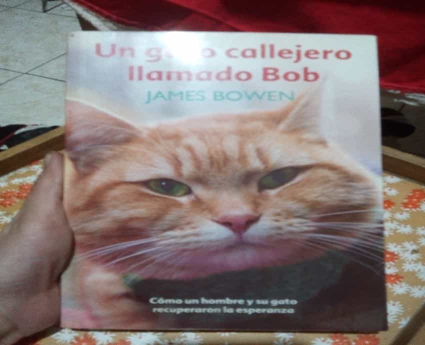 Libro de segunda mano: Un gato llamado Bob.
