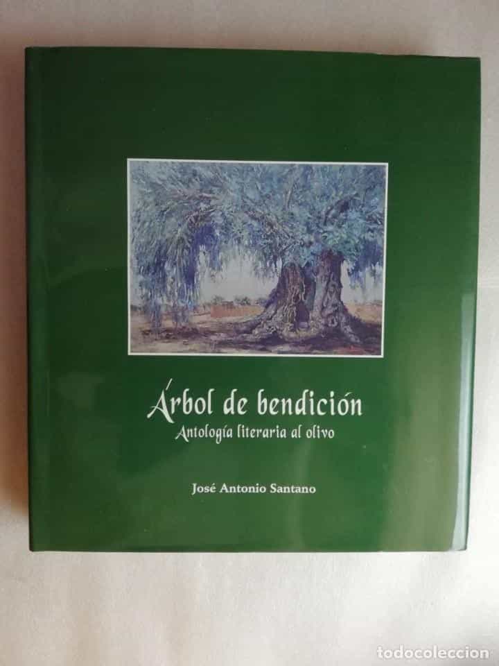 Libro de segunda mano: ÁRBOL DE BENDICIÓN, ANTOLOGÍA LITERARIA AL OLIVO - JOSÉ ANTONIO SANTANO