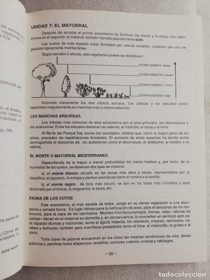 Imagen 2 del libro ENCUENTROS CON DOÑANA - JUAN CARLOS FERNANDEZ