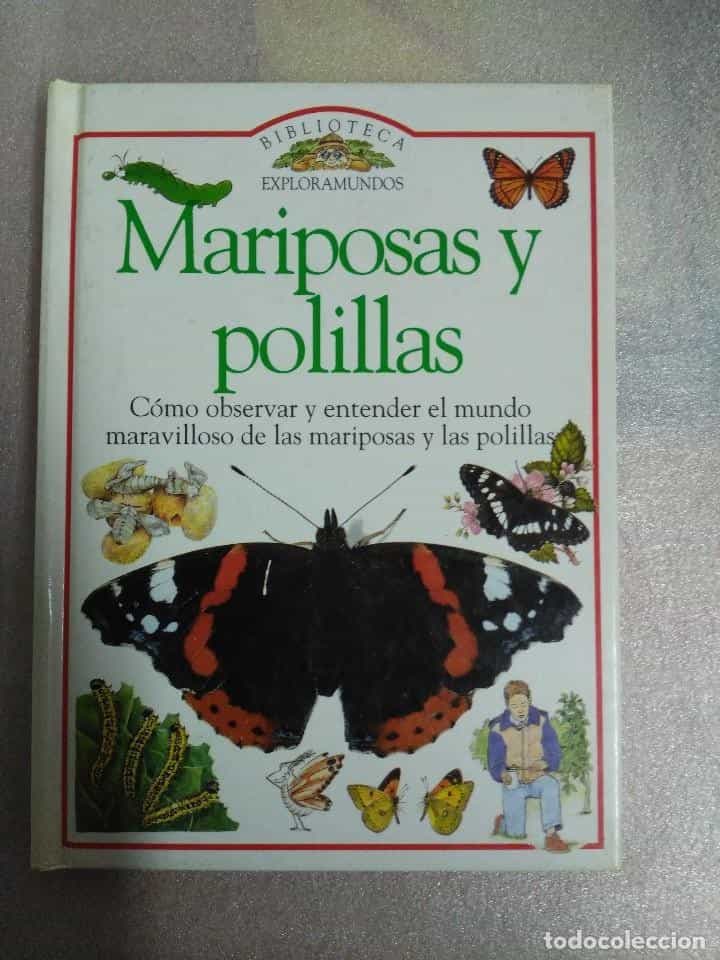 Libro de segunda mano: MARIPOSAS Y POLILLAS, DE JOHN FELTWELL. TAPAS DURAS