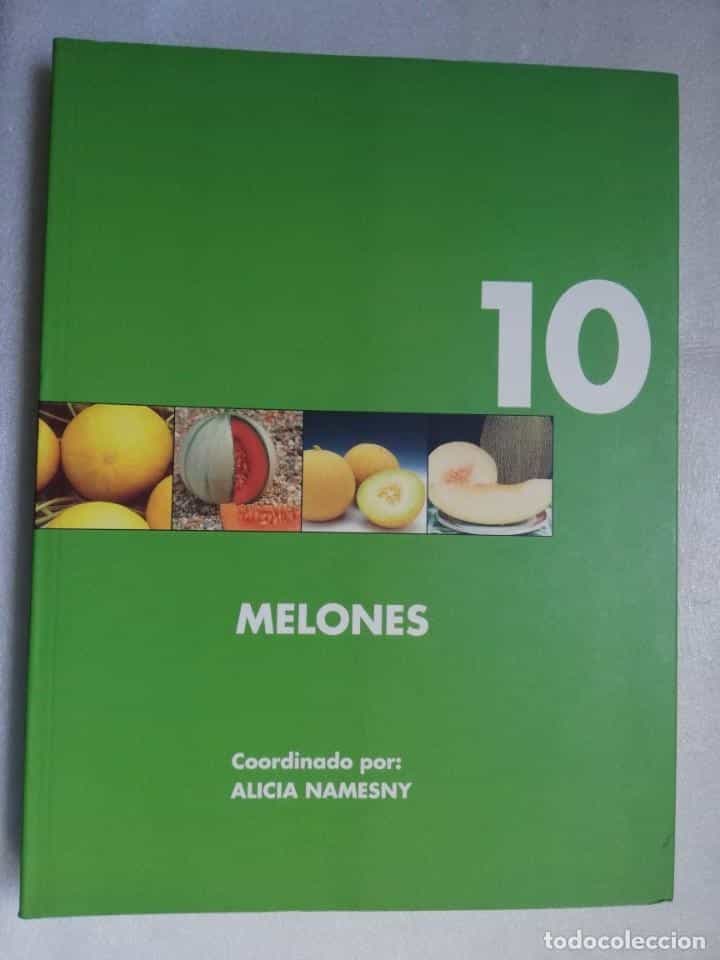 Libro de segunda mano: MELONES - ALICIA NAMESNY