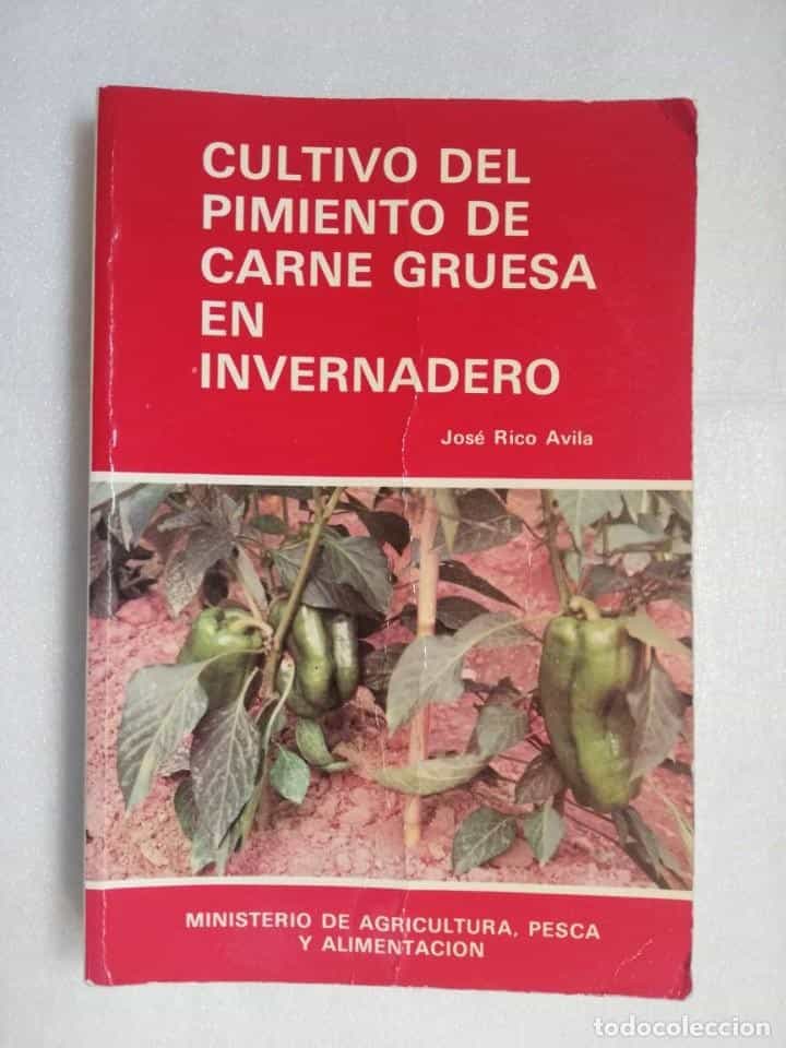 Libro de segunda mano: CULTIVO DEL PIMIENTO DE CARNE GRUESA EN INVERNADERO - JOSÉ RICO ÁVILA