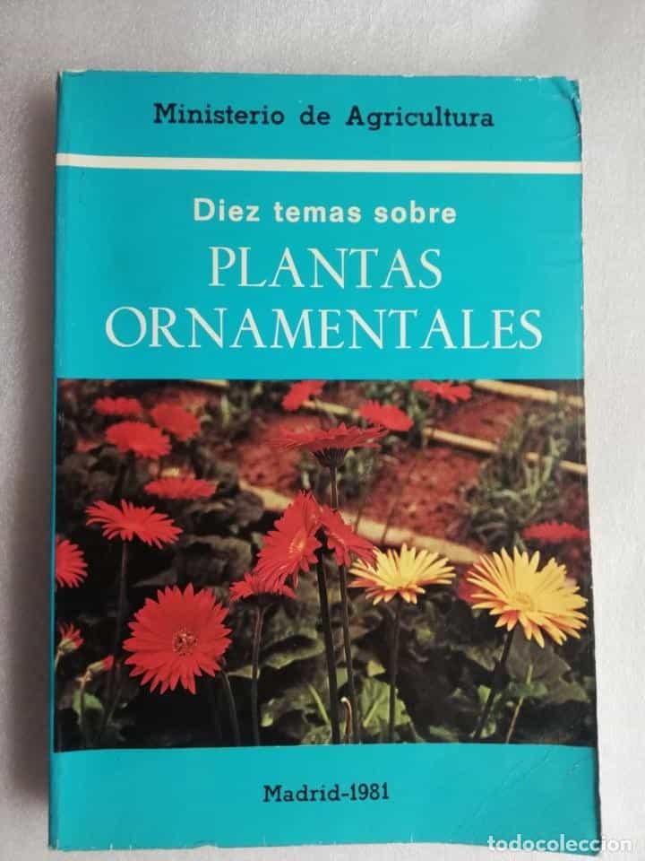 Libro de segunda mano: DIEZ TEMAS SOBRE PLANTAS ORNAMENTALES - MINISTERIO DE AGRICULTURA