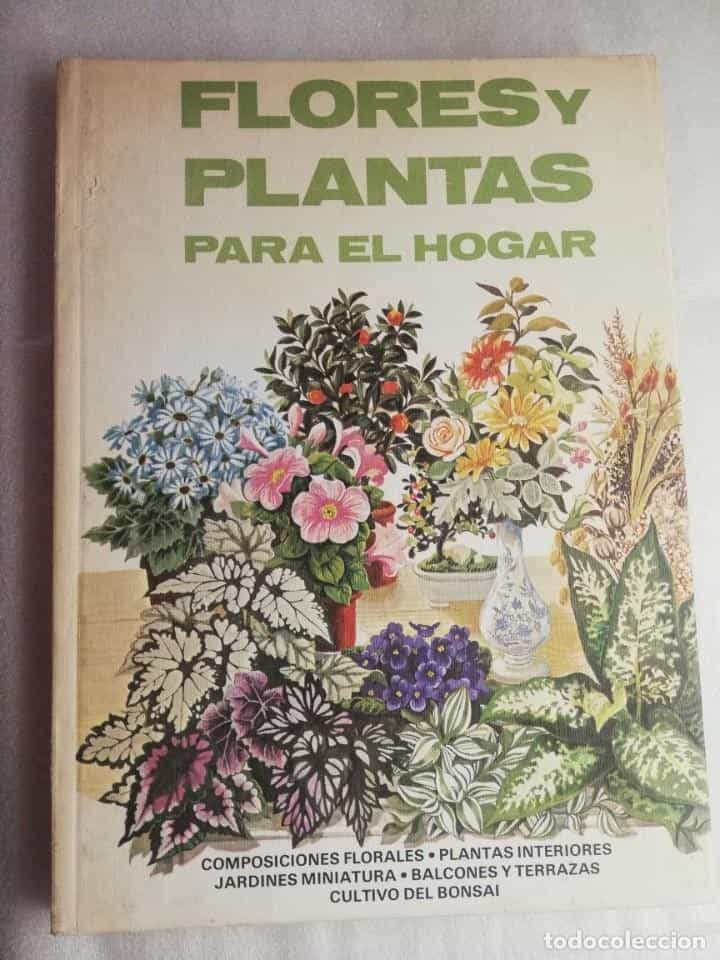 Libro de segunda mano: FLORES Y PLANTAS PARA EL HOGAR