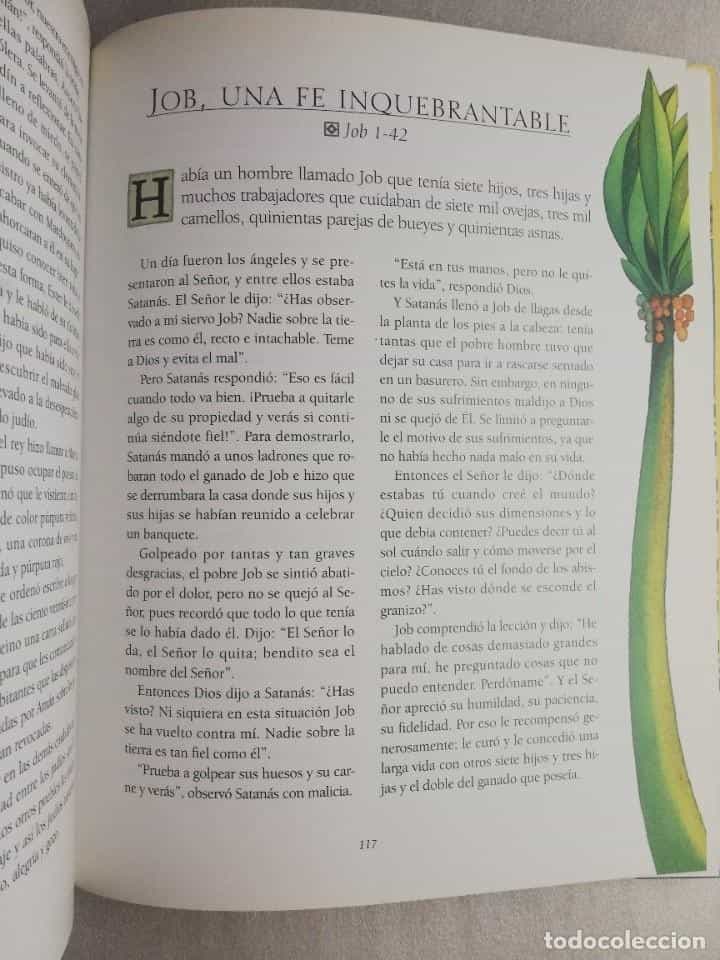 Imagen 2 del libro LA BIBLIA INFANTIL ILUSTRADA ROBERTO BRUNELLI · EDITORIAL EVEREST TAPAS DURAS