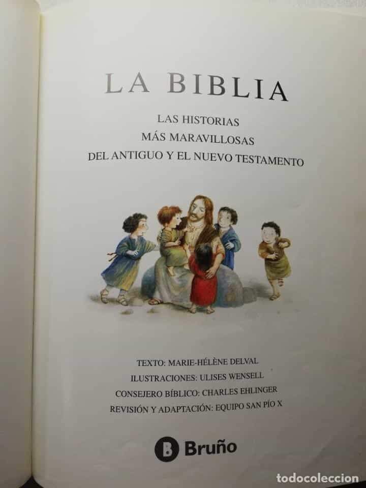 Imagen 2 del libro LA BIBLIA ILUSTRADA LAS HISTORIAS MÁS MARAVILLOSAS DEL ANTIGUO Y NUEVO TESTAMENTO M-H. DELVAL BRUÑO
