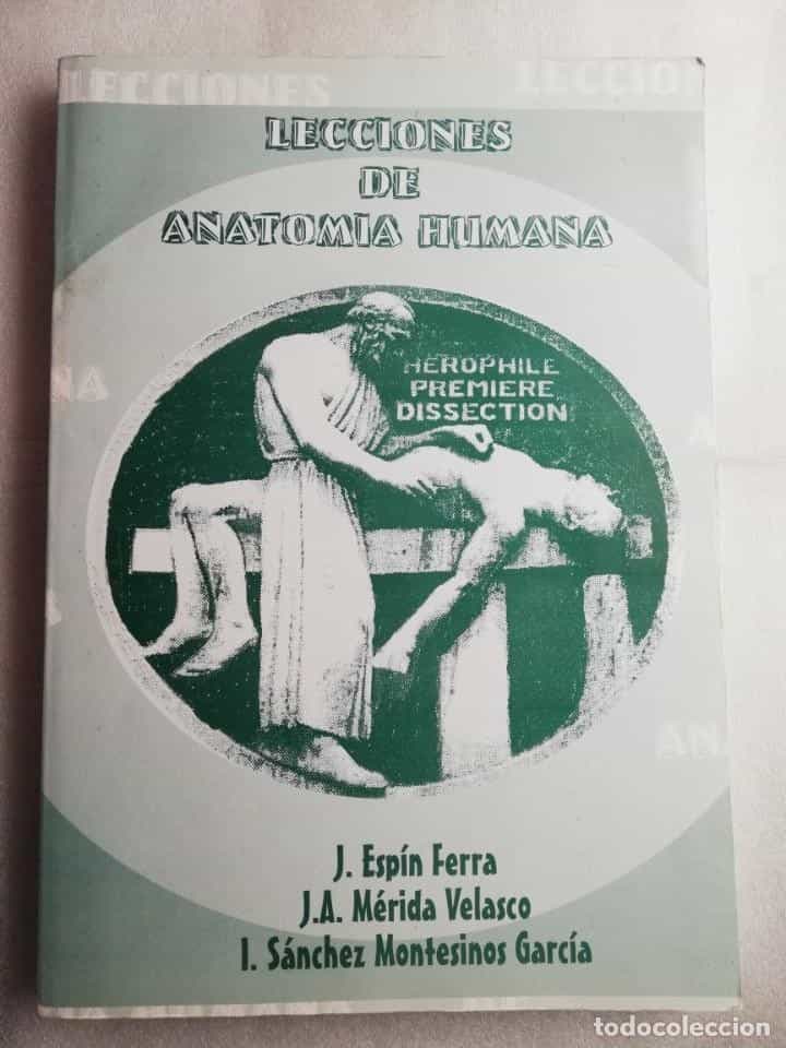 Libro de segunda mano: LECCIONES DE ANATOMÍA. ESPÍN FERRA, MARIDA VELASCO Y SÁNCHEZ MONTESINOS GARCÍA