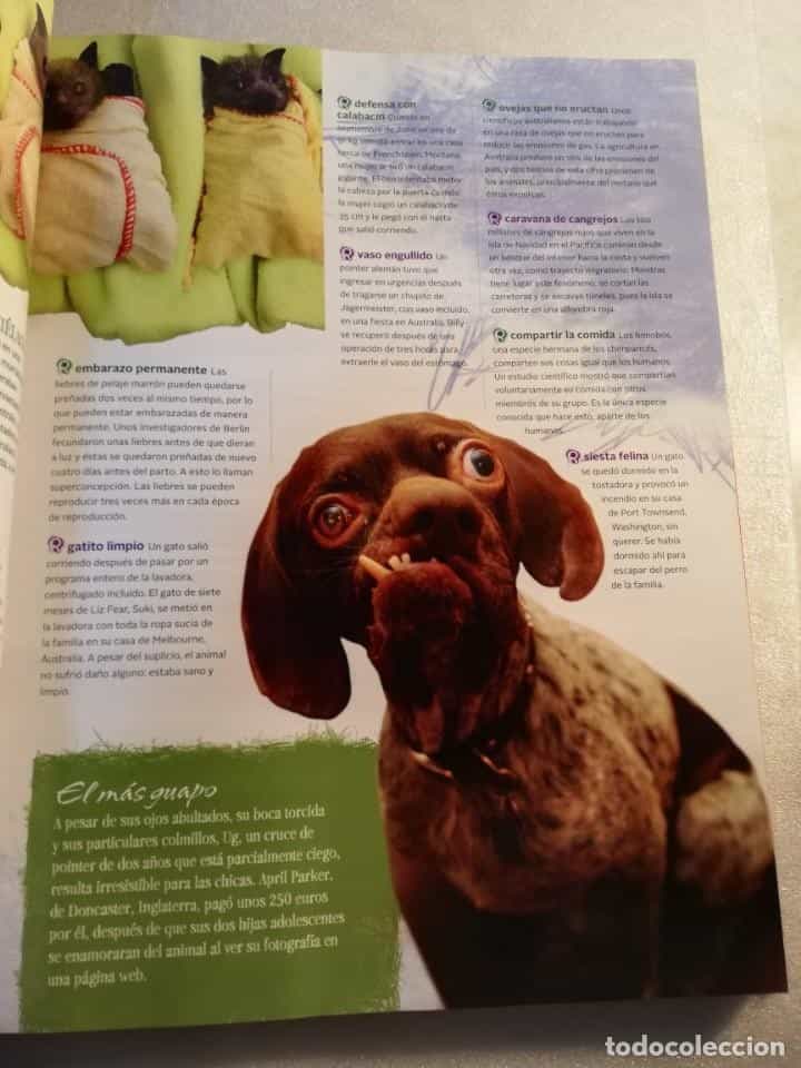 Imagen 3 del libro LIBRO-AUNQUE NO TE LO CREAS DE RIPLEY 2012-INCREÍBLE PERO CIERTO