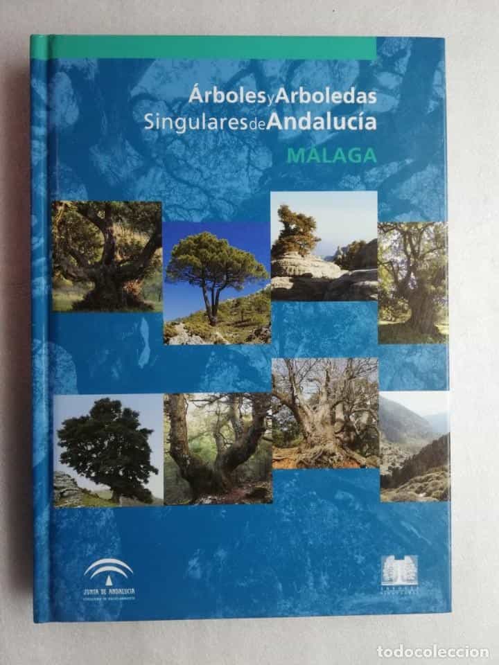 Libro de segunda mano: ARBOLES ARBOLEDAS SINGULARES MALAGA . TAPAS DURAS