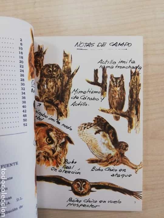 Imagen 3 del libro RAPACES NOCTURNAS - CUADERNOS DE CAMPO Nº 4 - DR. FÉLIX RODRIGUEZ