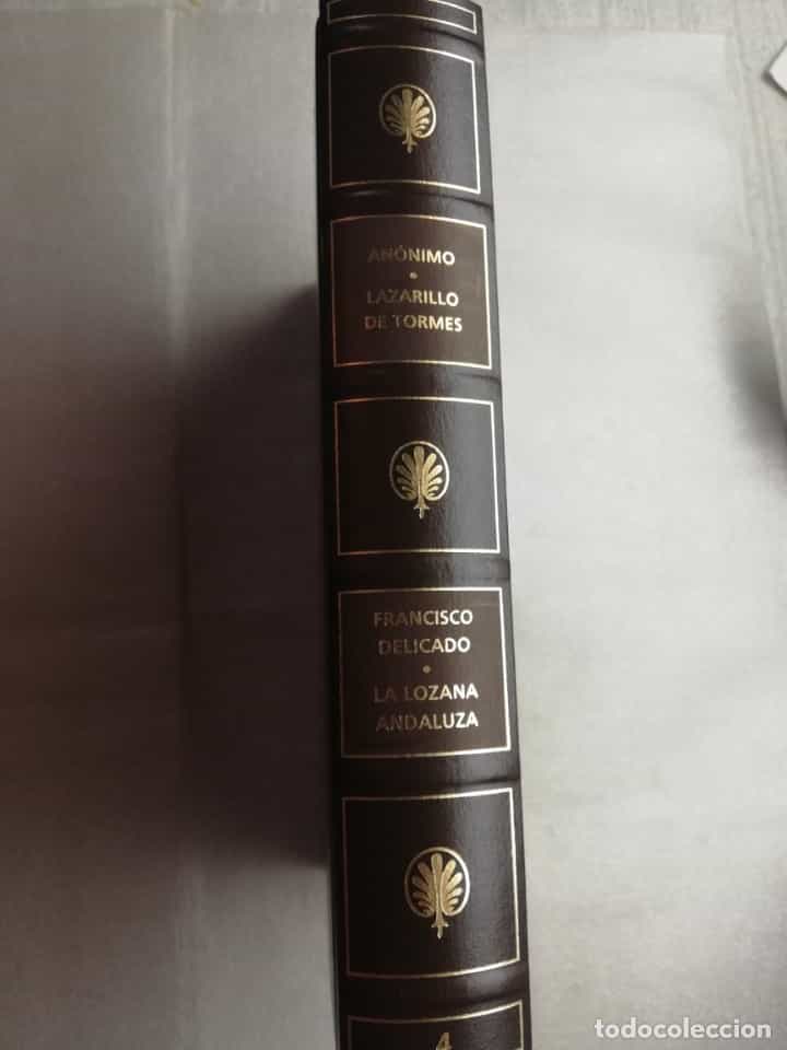 Imagen 2 del libro LAZARILLO TORMES ANONIMO / LA LOZANA ANADLUZA POR FRANCISCO DELGADO BIBLIOTECA CASTALIA