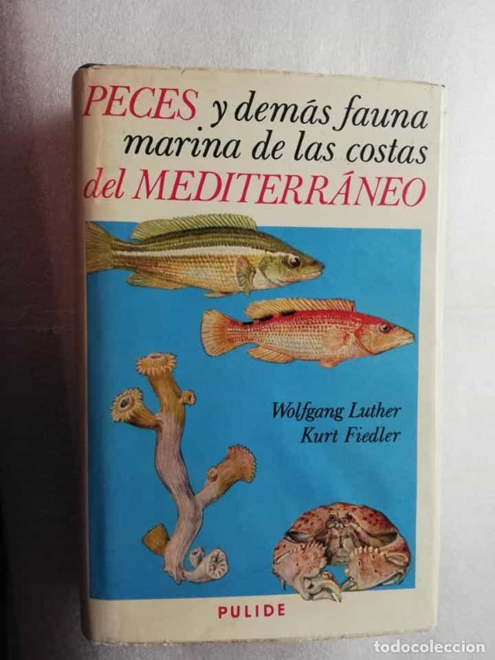 Libro de segunda mano: PECES Y DEMAS FAUNA MARINA DE LAS COSTAS DEL MEDITERRANEO (WOLFGANG LUTHER Y KURT FIEDLER)