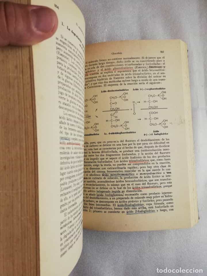 Imagen 3 del libro FISIOLOGÍA QUÍMICA. LEHNARTZ, EMILIO. 1948