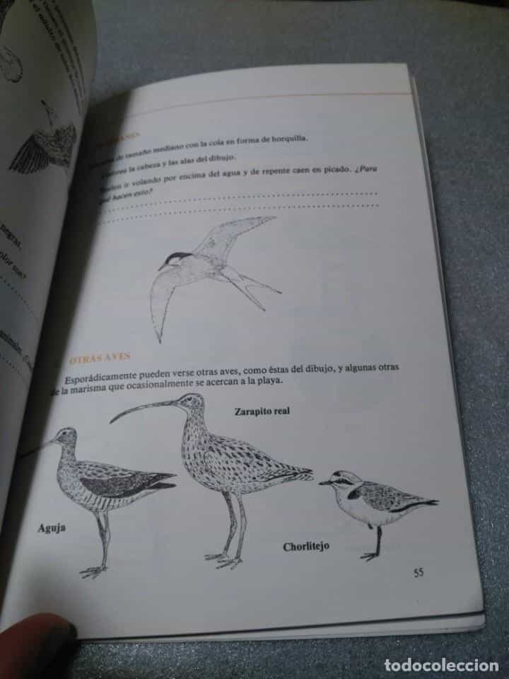 Imagen 3 del libro PARQUE NACIONAL DE DOÑANA - GUIA DEL PROFESOR