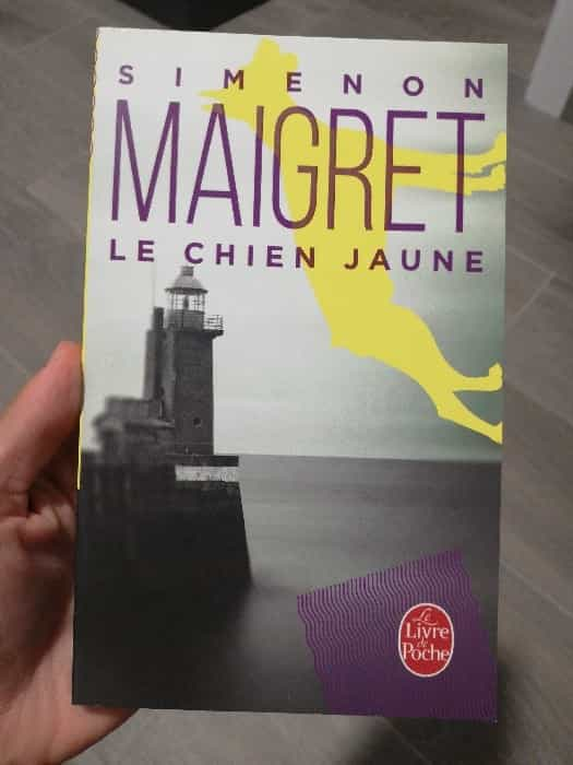 Sumérgete en la intriga de ‘Le Chien jaune’ de Georges Simenon