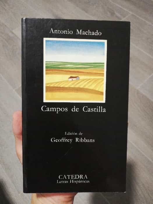 Libro de segunda mano: Campos de Castilla
