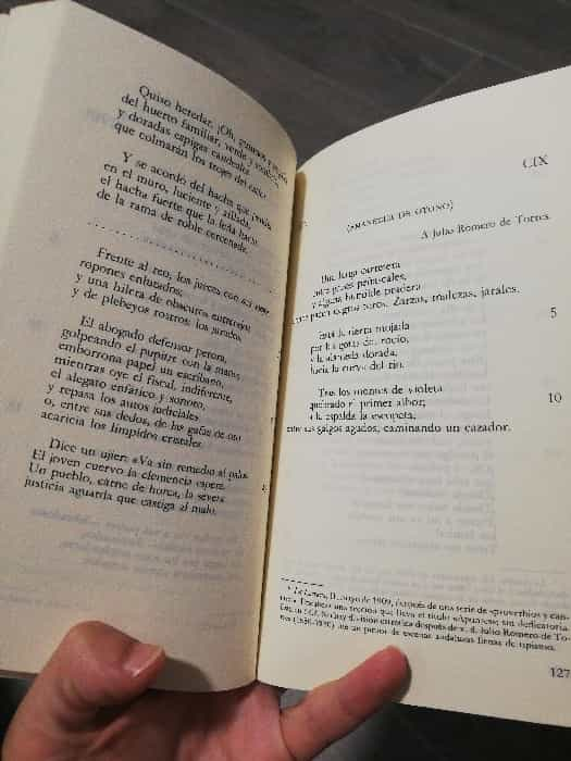 Explora la belleza de ‘Campos de Castilla’ de Antonio Machado