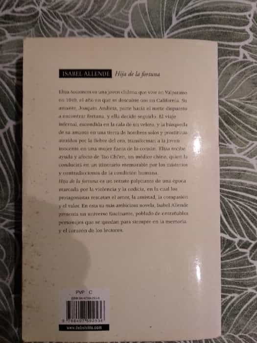 Hija de la fortuna: Un relato épico de amor y aventura en busca del destino