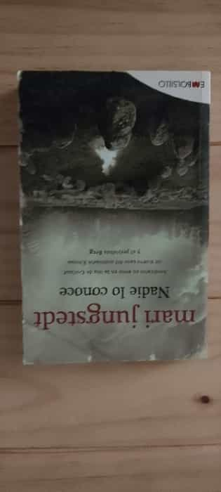 Descubre el misterio oculto en ‘Nadie lo conoce’ por Mari Jungstedt